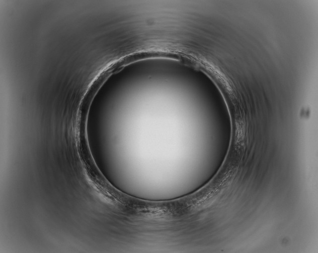 X0000100380580200806061220