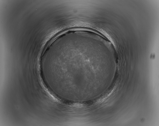 X0000100380581200806061220