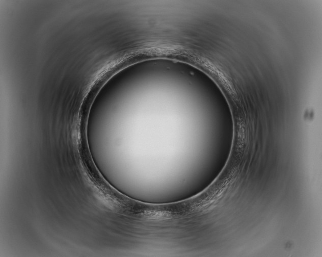 X0000100380582200806061220