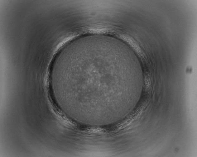 X0000100380583200806061220