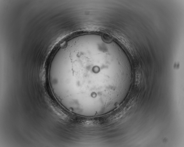 X0000100380584200806061220