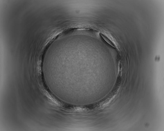 X0000100380585200806061220