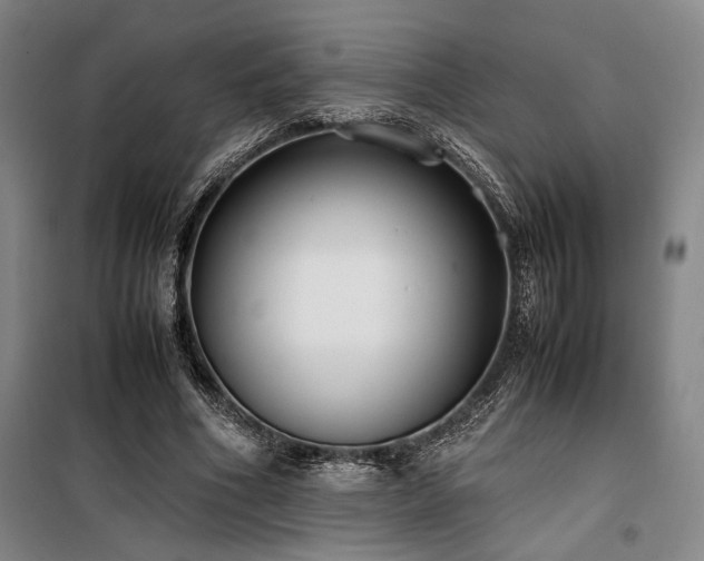 X0000100380586200806061220
