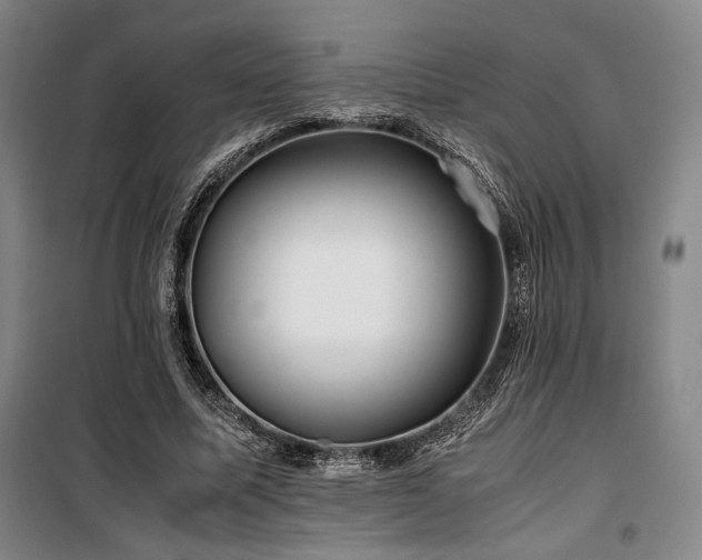 X0000100380587200806061220