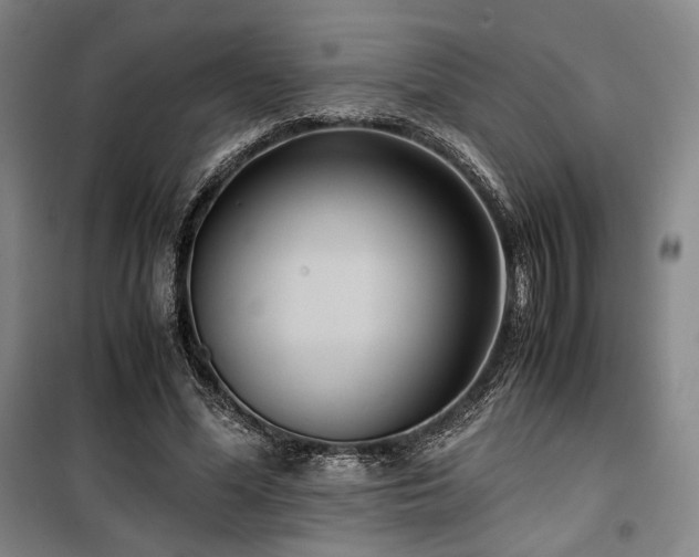 X0000100380588200806061220