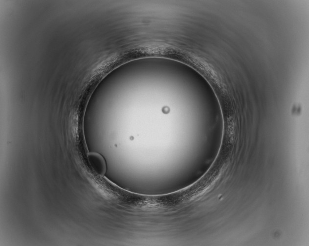 X0000100380589200806061220