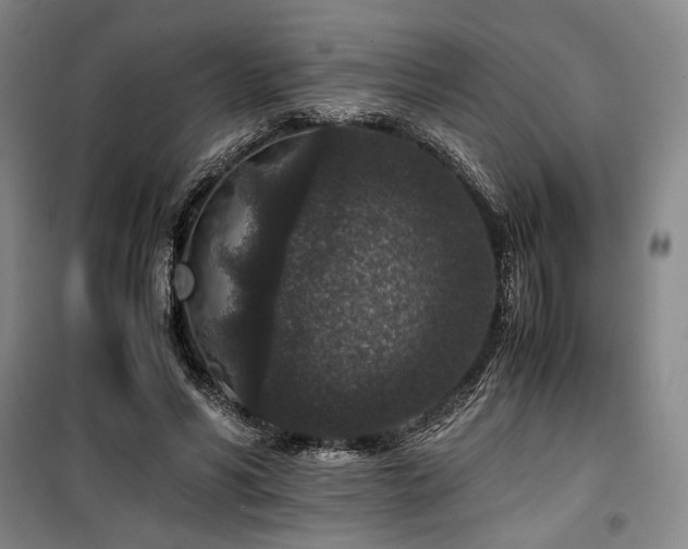 X0000100380590200806061220