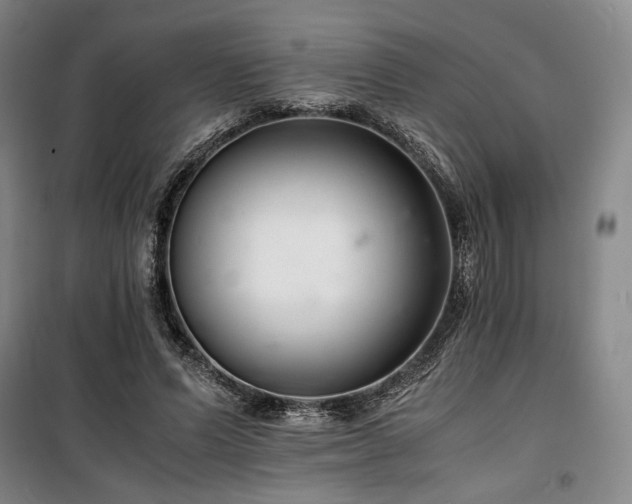 X0000100380591200806061220