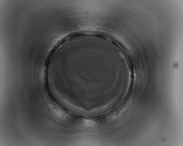 X0000100380592200806061220