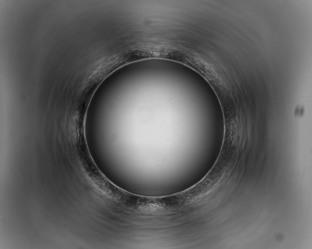 X0000100380594200806061220