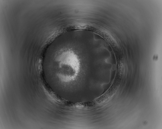 X0000100380598200806061220