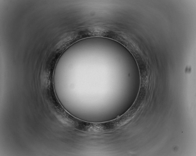 X0000100380599200806061220
