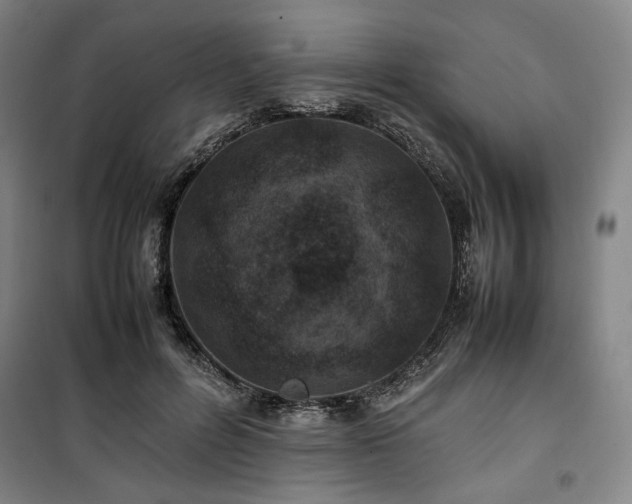 X0000100380600200806061220