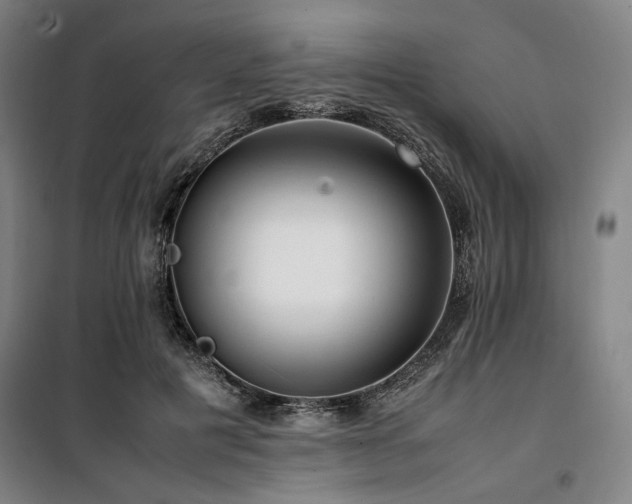 X0000100380601200806061220