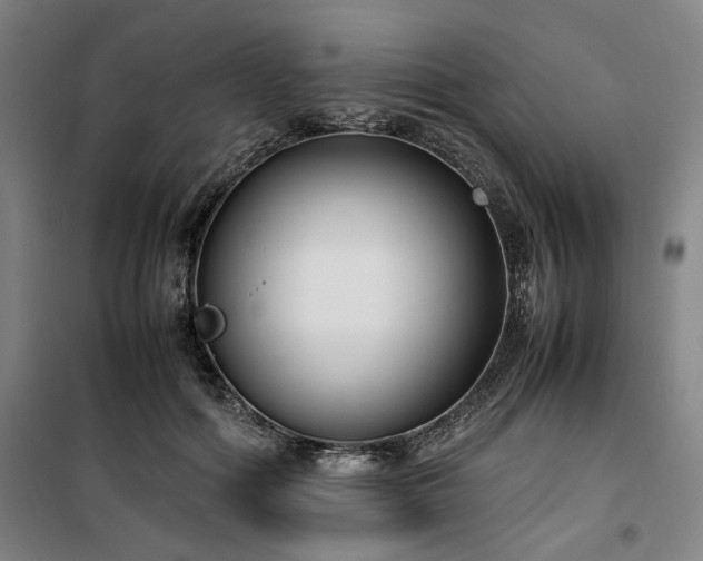 X0000100380602200806061220