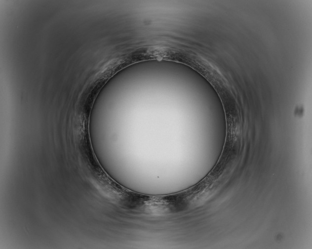 X0000100380603200806061220