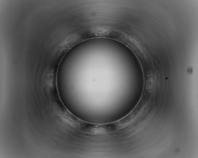 X0000100380604200806061220