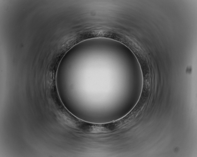 X0000100380605200806061220
