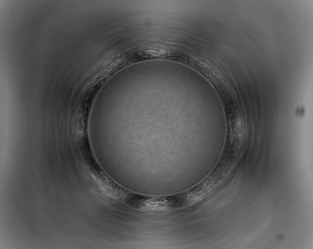 X0000100380606200806061220
