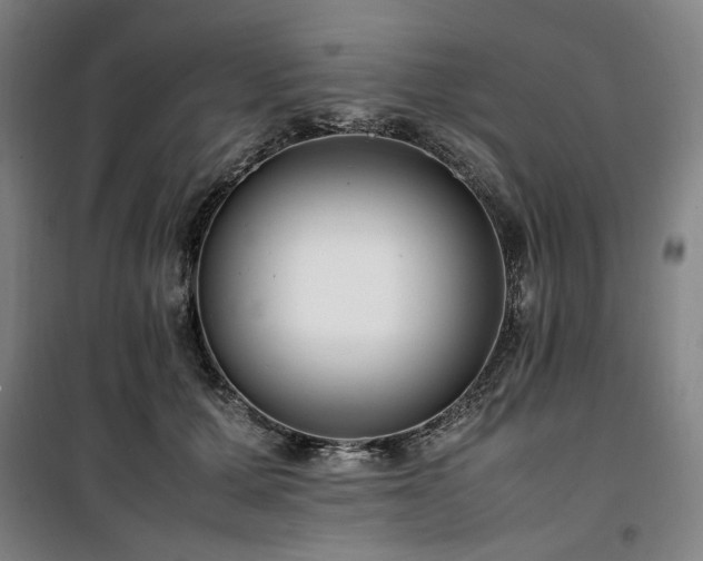 X0000100380607200806061220
