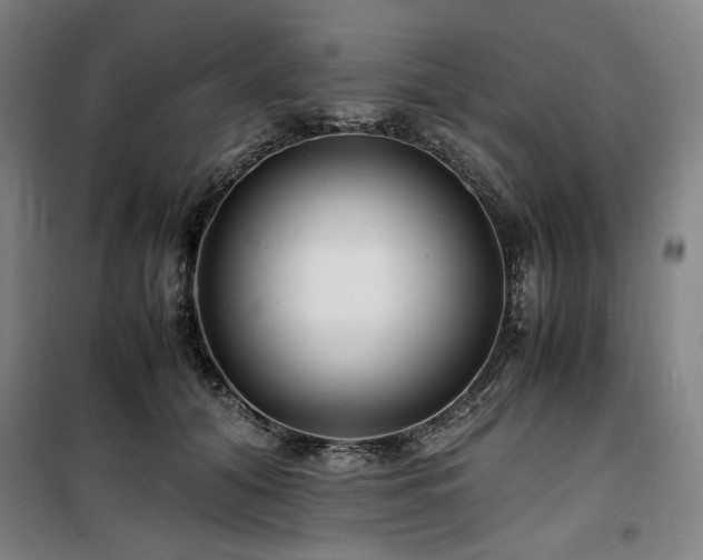 X0000100380608200806061220