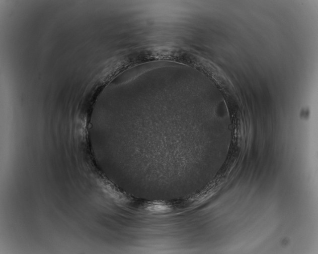 X0000100380610200806061220