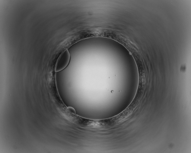 X0000100380611200806061220