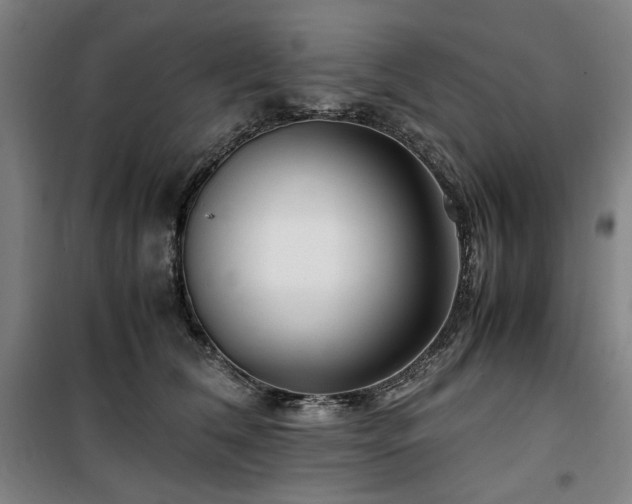 X0000100380612200806061220