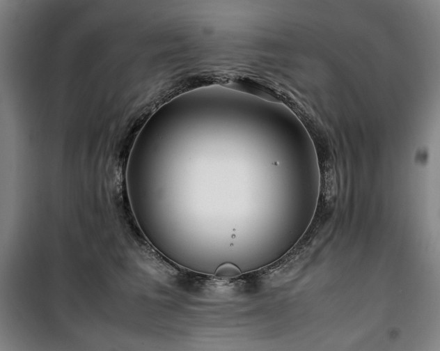 X0000100380613200806061220