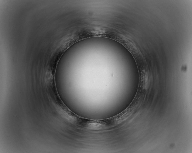 X0000100380614200806061220