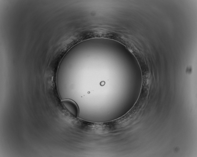 X0000100380615200806061220