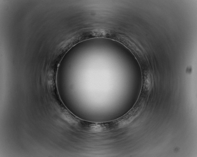 X0000100380616200806061220