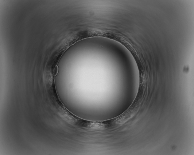 X0000100380617200806061220