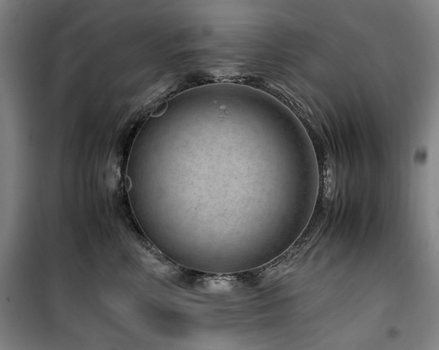 X0000100380618200806061220