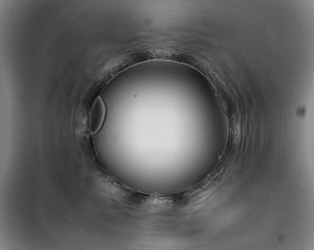 X0000100380619200806061220
