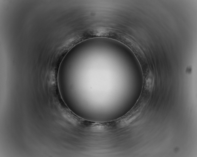 X0000100380620200806061220