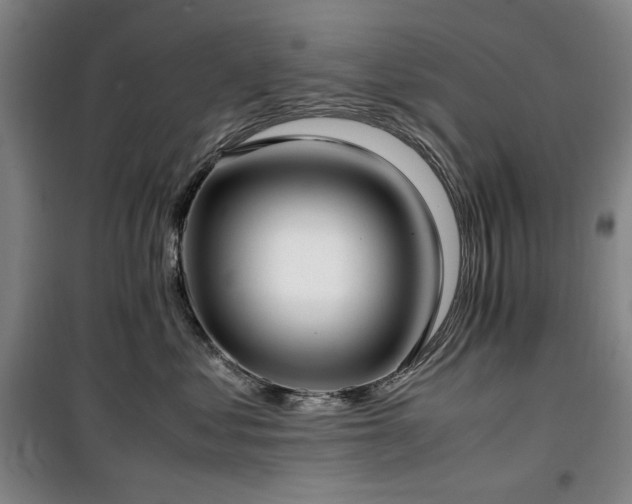 X0000100380621200806061220