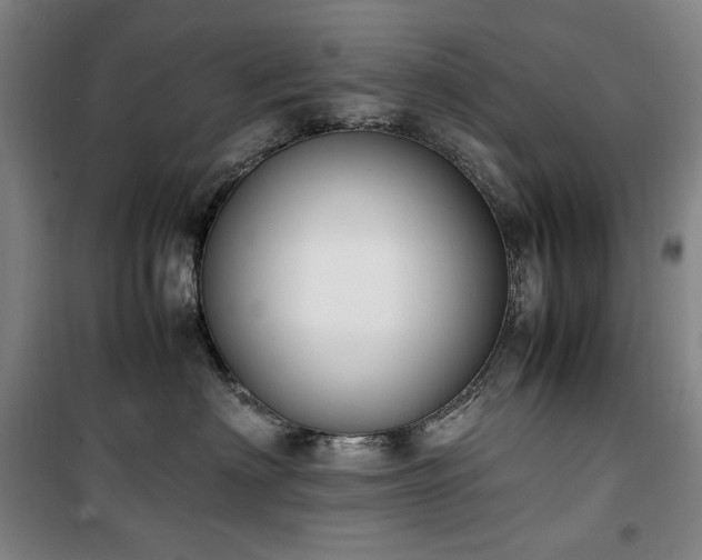 X0000100380622200806061220