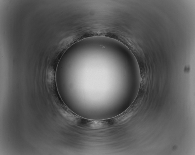 X0000100380623200806061220