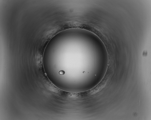 X0000100380624200806061220
