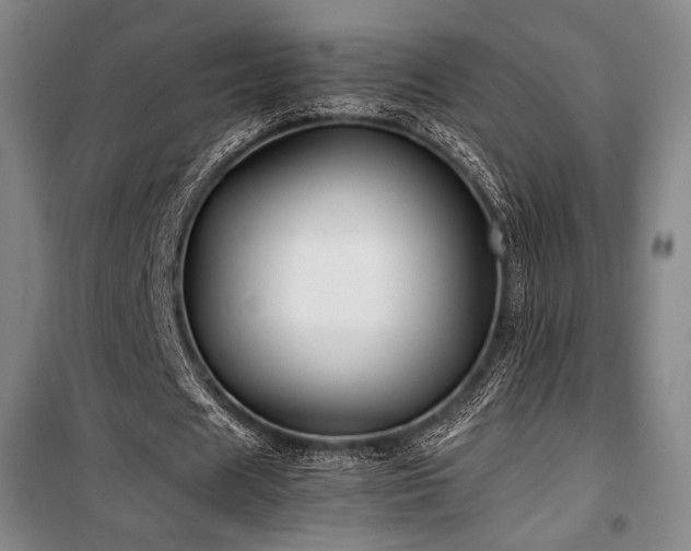 X0000100380625200806061219