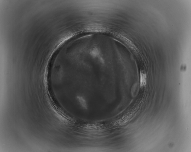 X0000100380627200806061219