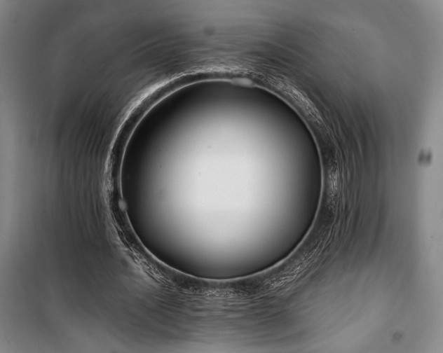 X0000100380628200806061219