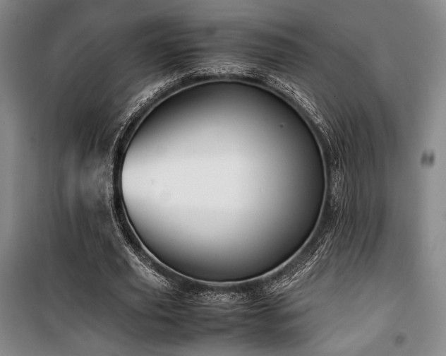 X0000100380629200806061219