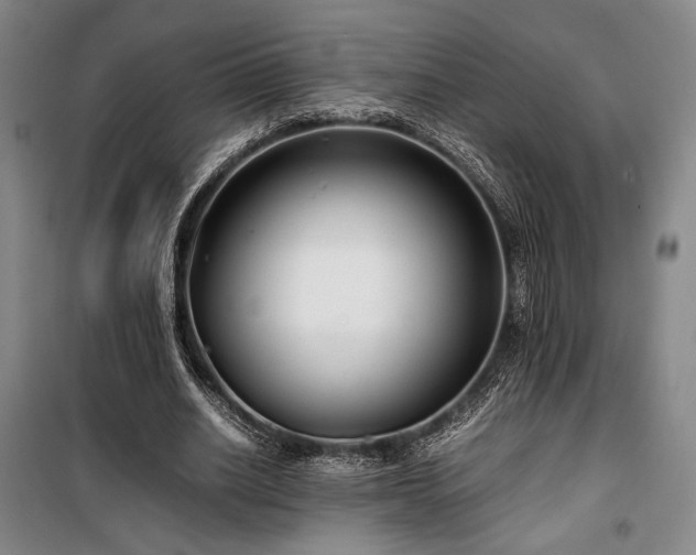 X0000100380630200806061219