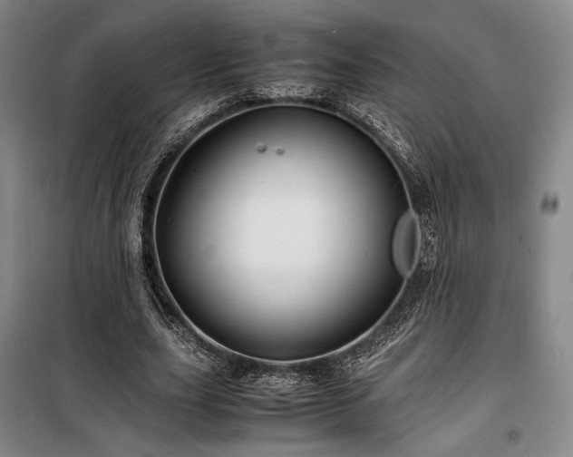 X0000100380631200806061219