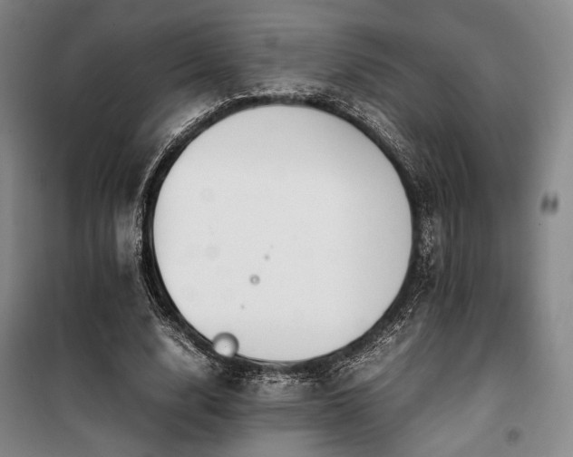 X0000100380632200806061219