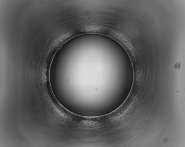 X0000100380633200806061219