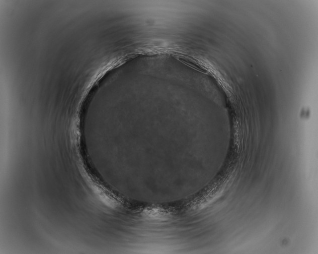 X0000100380634200806061219