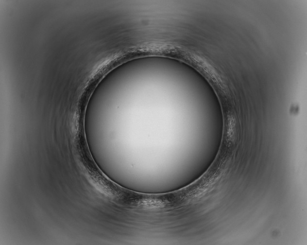 X0000100380636200806061219